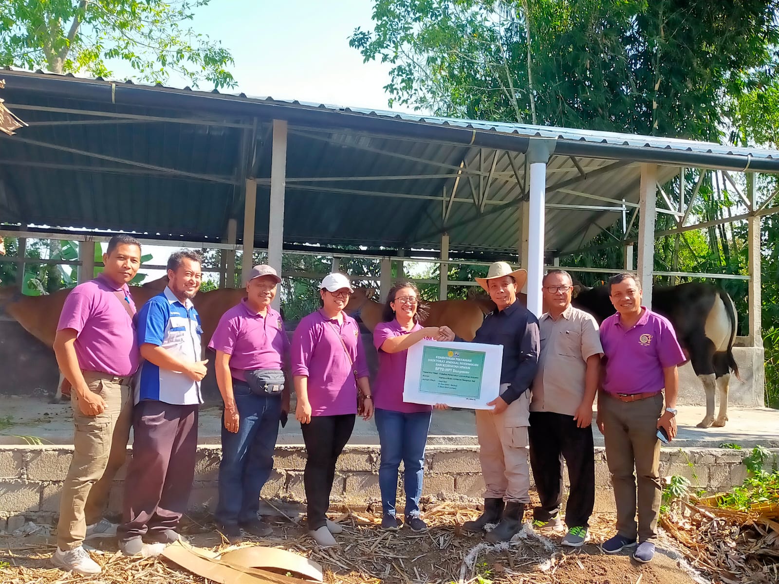 Unud Faculty of Animal Husbandry Receives Cattle Grant from BPTUHPT Denpasar